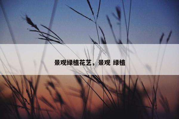 景观绿植花艺，景观 绿植