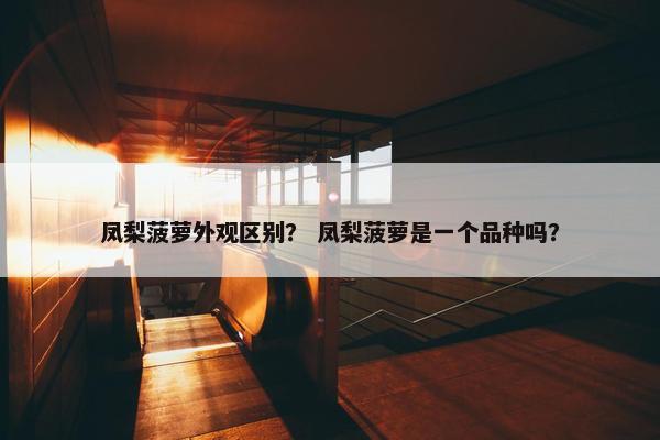 凤梨菠萝外观区别？ 凤梨菠萝是一个品种吗？