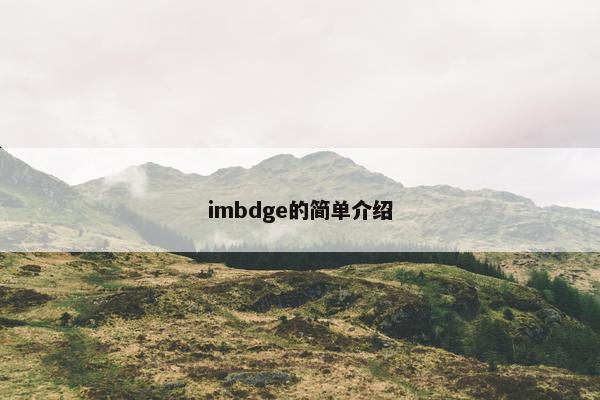 imbdge的简单介绍