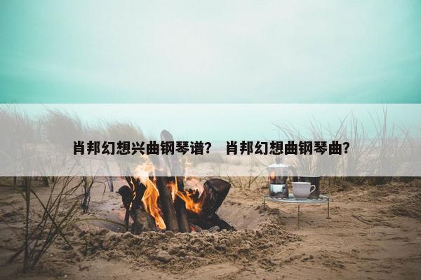 肖邦幻想兴曲钢琴谱？ 肖邦幻想曲钢琴曲？