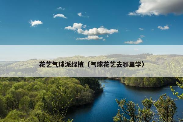 花艺气球派绿植（气球花艺去哪里学）