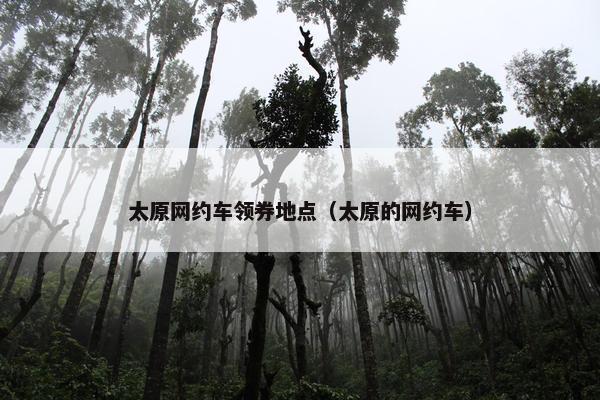 太原网约车领券地点（太原的网约车）