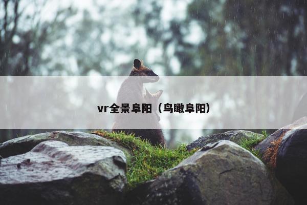 vr全景阜阳（鸟瞰阜阳）