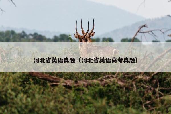 河北省英语真题（河北省英语高考真题）