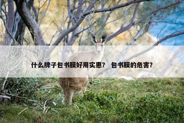 什么牌子包书膜好用实惠？ 包书膜的危害？