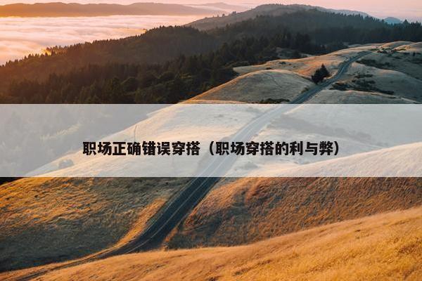 职场正确错误穿搭（职场穿搭的利与弊）