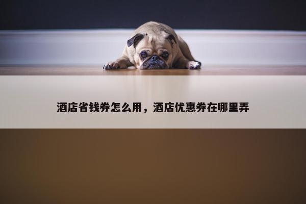 酒店省钱券怎么用，酒店优惠券在哪里弄