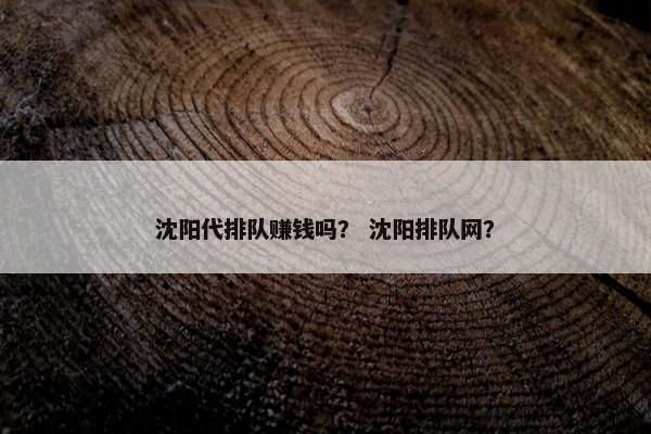 沈阳代排队赚钱吗？ 沈阳排队网？