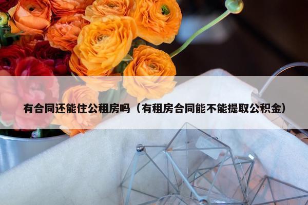 有合同还能住公租房吗（有租房合同能不能提取公积金）