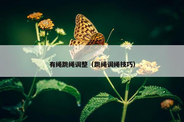 有绳跳绳调整（跳绳调绳技巧）