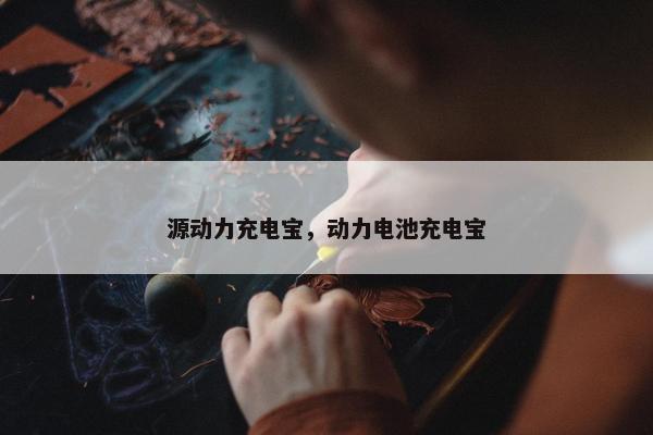 源动力充电宝，动力电池充电宝
