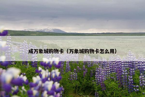 成万象城购物卡（万象城购物卡怎么用）