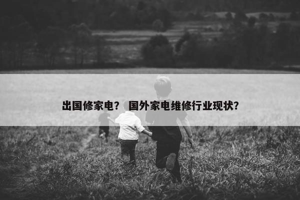 出国修家电？ 国外家电维修行业现状？