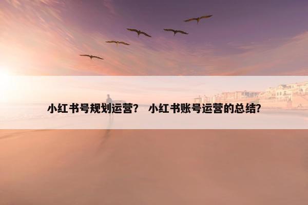 小红书号规划运营？ 小红书账号运营的总结？