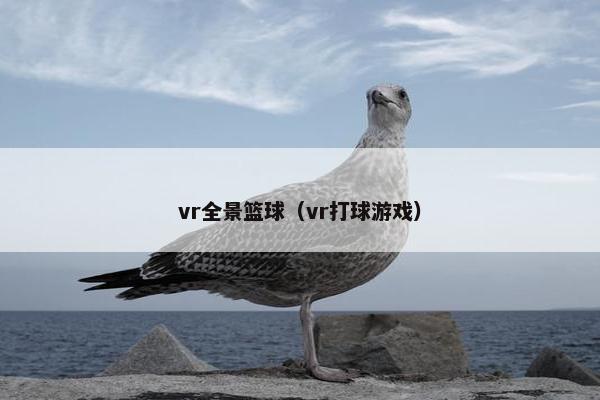 vr全景篮球（vr打球游戏）