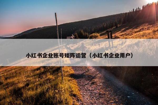 小红书企业账号矩阵运营（小红书企业用户）