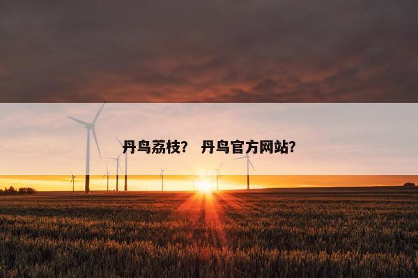 丹鸟荔枝？ 丹鸟官方网站？