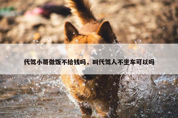 代驾小哥做饭不给钱吗，叫代驾人不坐车可以吗