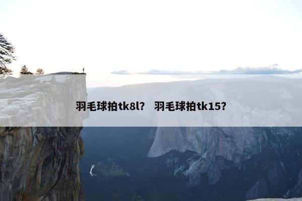 羽毛球拍tk8l？ 羽毛球拍tk15？