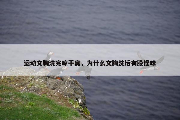 运动文胸洗完晾干臭，为什么文胸洗后有股怪味