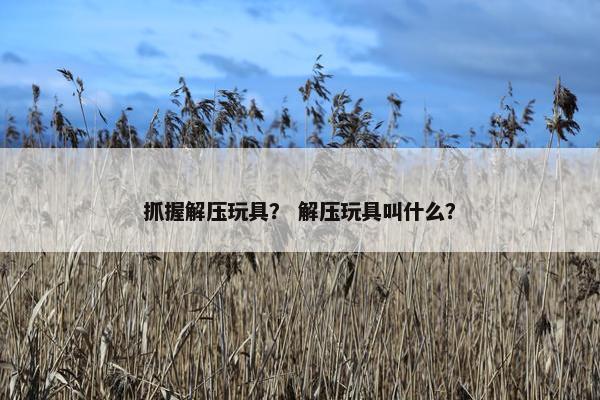 抓握解压玩具？ 解压玩具叫什么？
