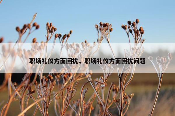 职场礼仪方面困扰，职场礼仪方面困扰问题