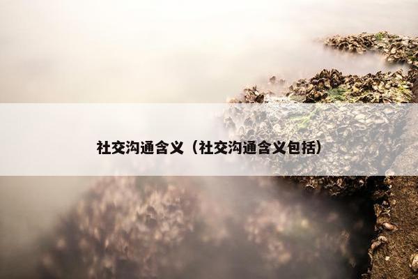 社交沟通含义（社交沟通含义包括）