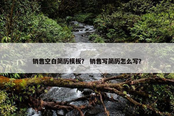 销售空白简历模板？ 销售写简历怎么写？