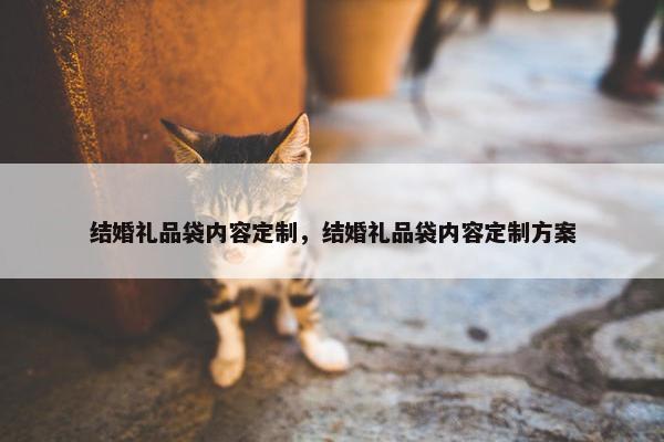 结婚礼品袋内容定制，结婚礼品袋内容定制方案