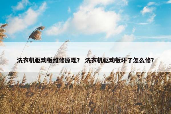 洗衣机驱动板维修原理？ 洗衣机驱动板坏了怎么修？