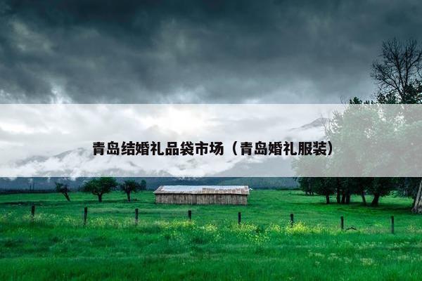 青岛结婚礼品袋市场（青岛婚礼服装）