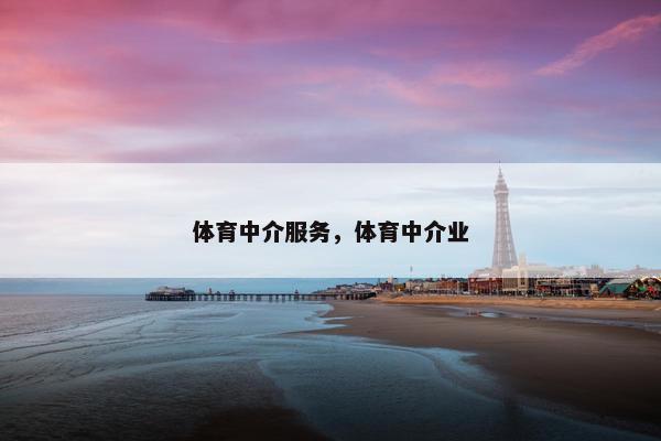 体育中介服务，体育中介业