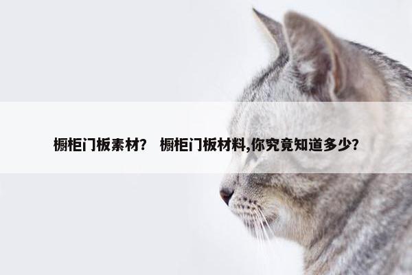 橱柜门板素材？ 橱柜门板材料,你究竟知道多少？