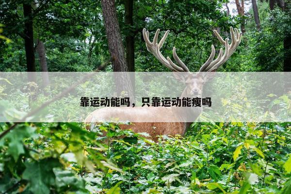 靠运动能吗，只靠运动能瘦吗