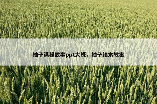 柚子课程故事ppt大班，柚子绘本教案