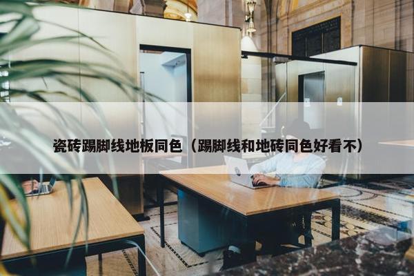 瓷砖踢脚线地板同色（踢脚线和地砖同色好看不）