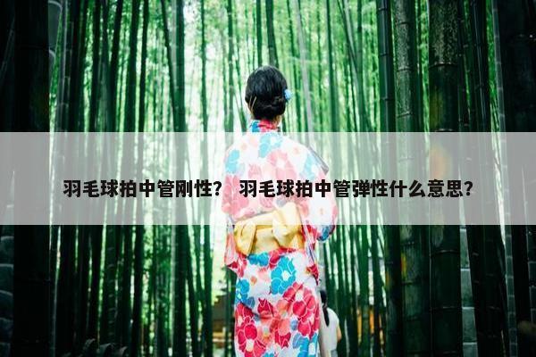 羽毛球拍中管刚性？ 羽毛球拍中管弹性什么意思？