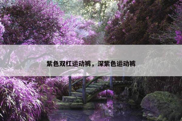 紫色双杠运动裤，深紫色运动裤