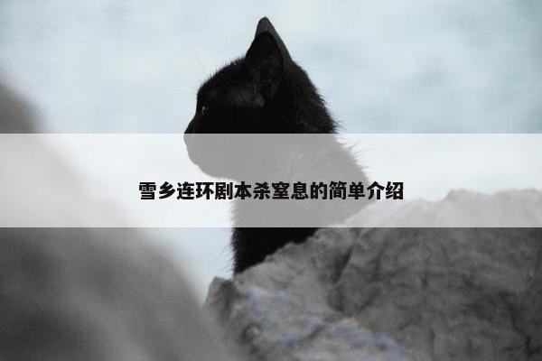 雪乡连环剧本杀窒息的简单介绍