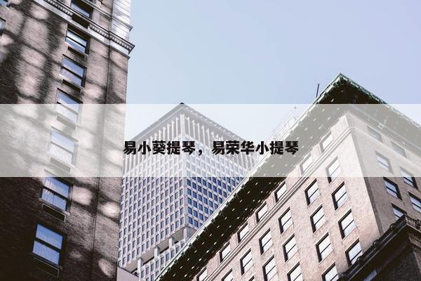 易小葵提琴，易荣华小提琴