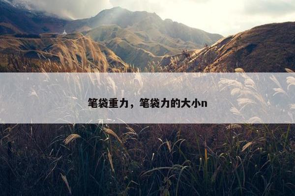 笔袋重力，笔袋力的大小n