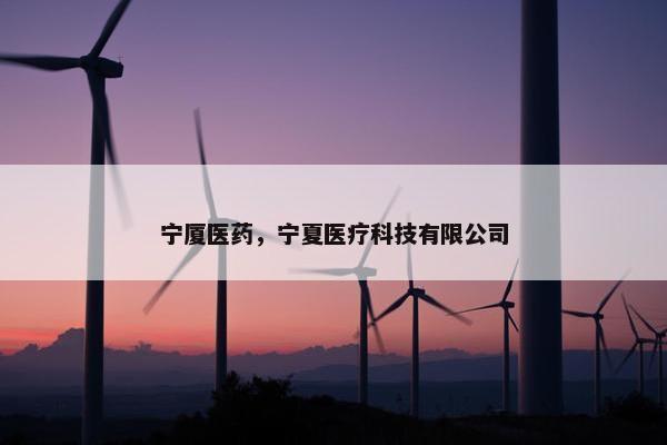 宁厦医药，宁夏医疗科技有限公司