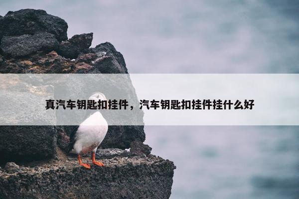 真汽车钥匙扣挂件，汽车钥匙扣挂件挂什么好