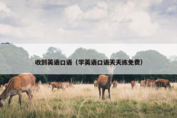 收到英语口语（学英语口语天天练免费）