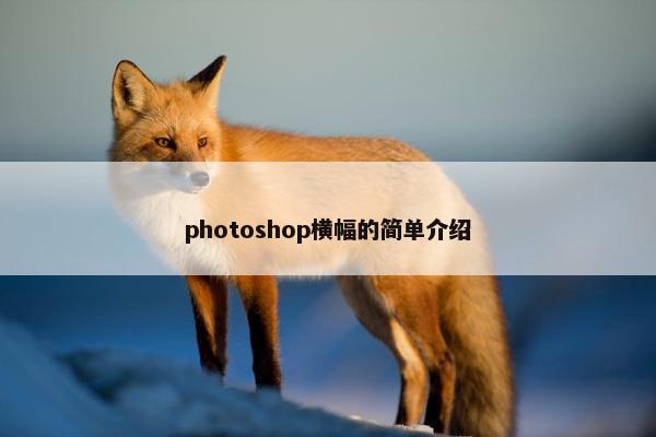 photoshop横幅的简单介绍