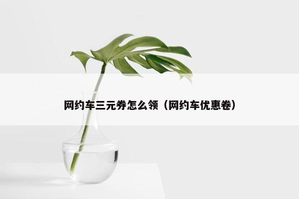 网约车三元券怎么领（网约车优惠卷）