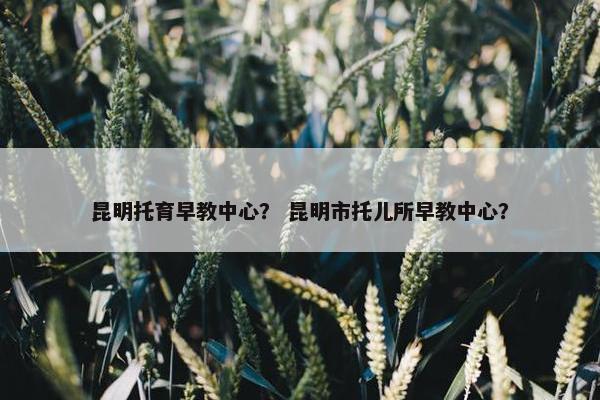昆明托育早教中心？ 昆明市托儿所早教中心？