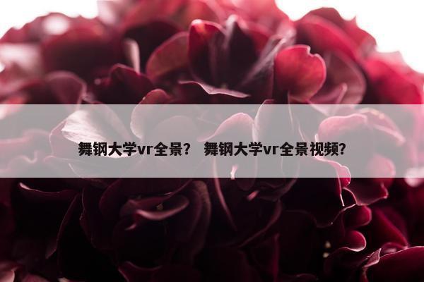 舞钢大学vr全景？ 舞钢大学vr全景视频？