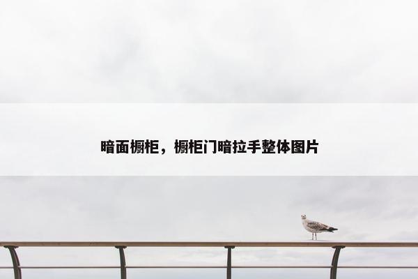 暗面橱柜，橱柜门暗拉手整体图片