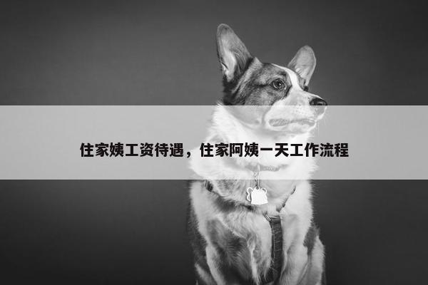 住家姨工资待遇，住家阿姨一天工作流程